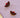 Sticky sis earrings sunrise wine red poppy red