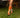 Sticky Lemon knee high socks black freckles candy pink faded orange