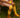 Sticky Lemon over the knee socks wanderer retro yellow caramel fudge