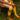 Sticky Lemon over the knee socks wanderer retro yellow caramel fudge