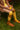 Sticky Lemon over the knee socks wanderer retro yellow caramel fudge