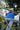 Sticky Lemon backpack medium better together uni pool