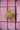 Sticky Lemon backpack small better together uni boost green