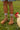 Sticky Lemon socks farmhouse check soil green