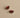 Sticky sis earrings sunrise wine red poppy red